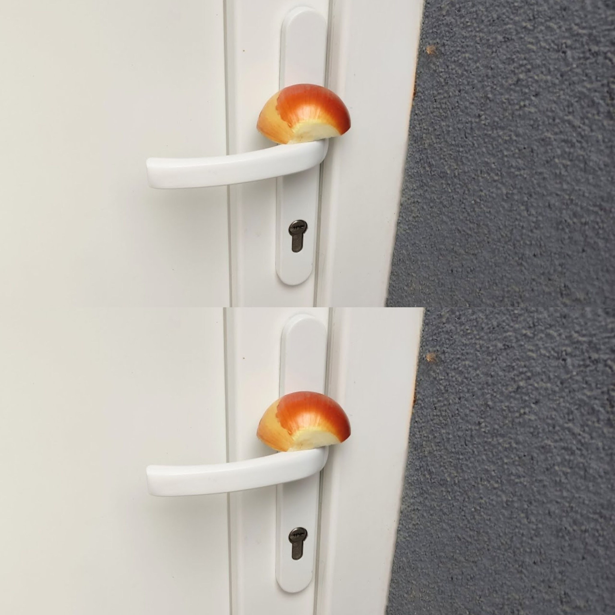 Leaving a Fresh Onion Outside Your Door A Startling Impact 1