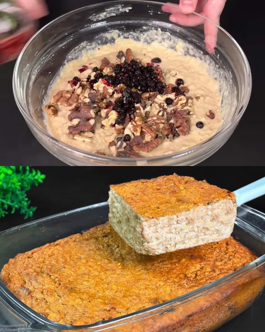 Oatmeal, Apple, and Nut Bake 1 Oatmeal, Apple, and Nut Bake