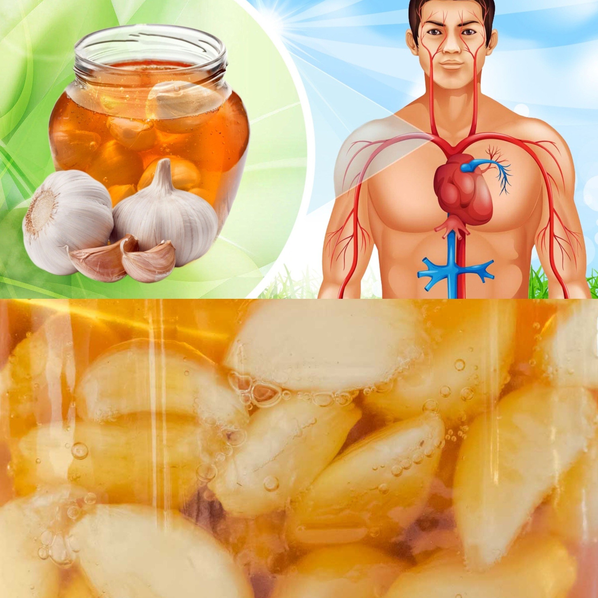 Garlic and Honey's True Health Benefits 1