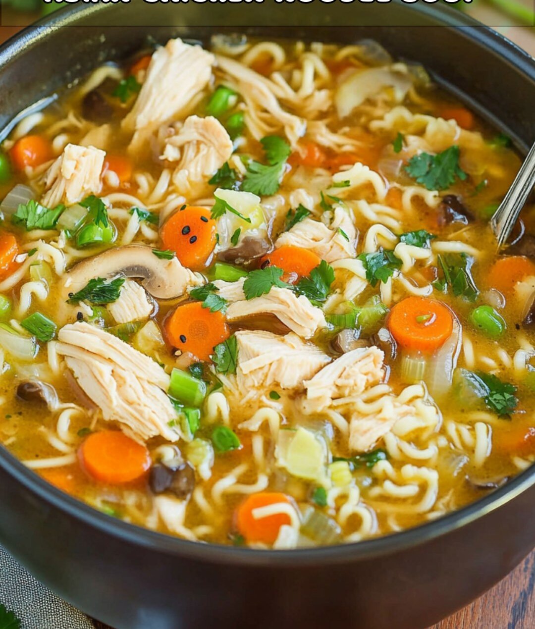 Comforting Asian Chicken Noodle Soup 1