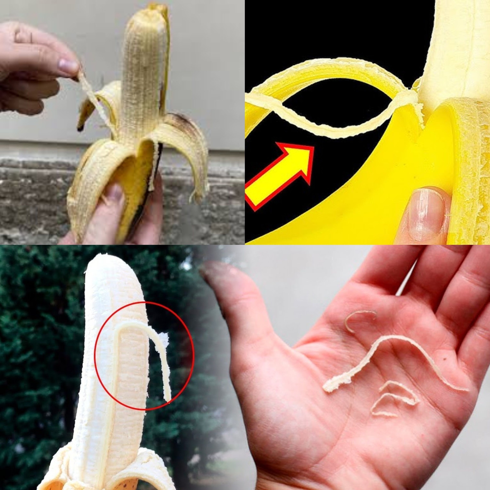 Why You Should Always Eat Those Weird Banana Strings 1