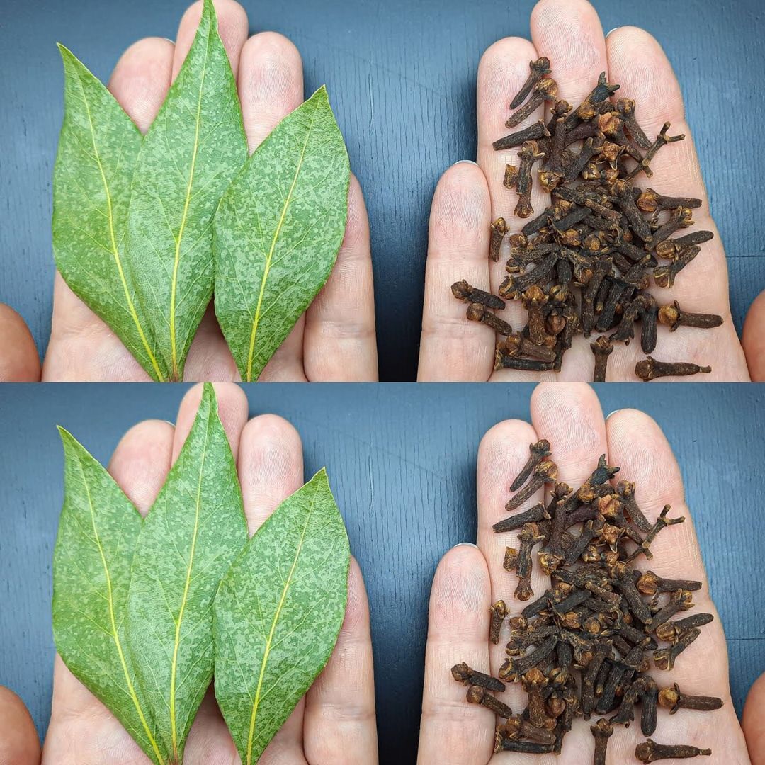 Combine bay leaf and cloves, and you'll be grateful for this recipe. 1