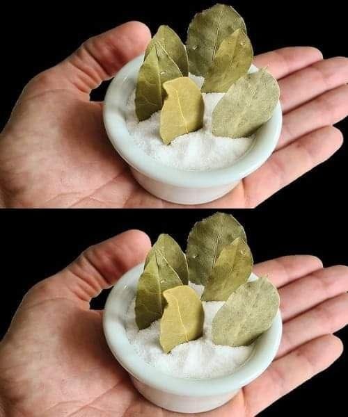 When you add a bay leaf to baking soda, you will be ecstatic 1
