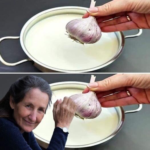 Revealing the Powerful Advantages of Garlic Milk 1