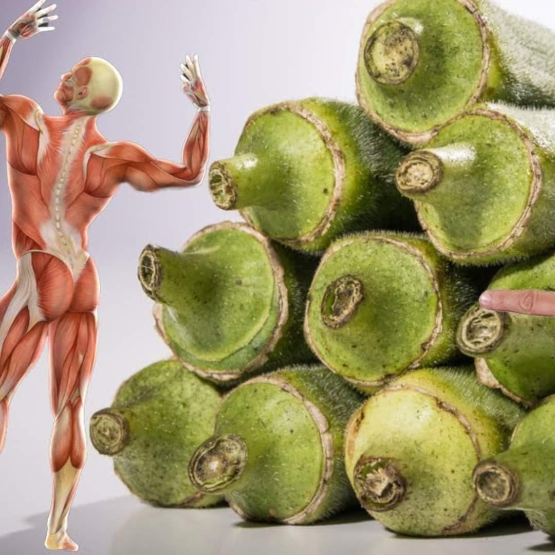 OKRA… The Secret to Healing Your Body! 1