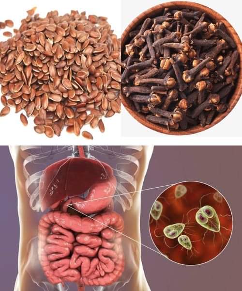 In just two days, my grandmother was able to eradicate parasites 7