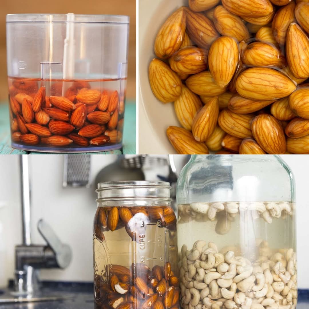 A Basic Guide to Activating Nuts and Seeds and Its Advantages 3