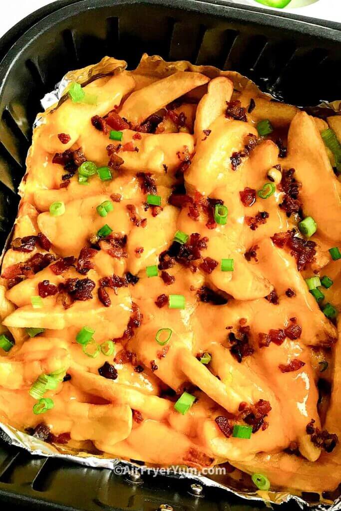 Air fryer Loaded fries 9
