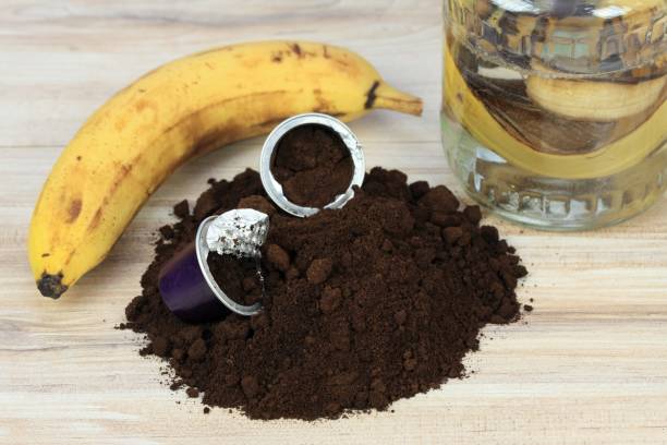 Transform Your Garden with Banana Peel Coffee Fertilizer 1