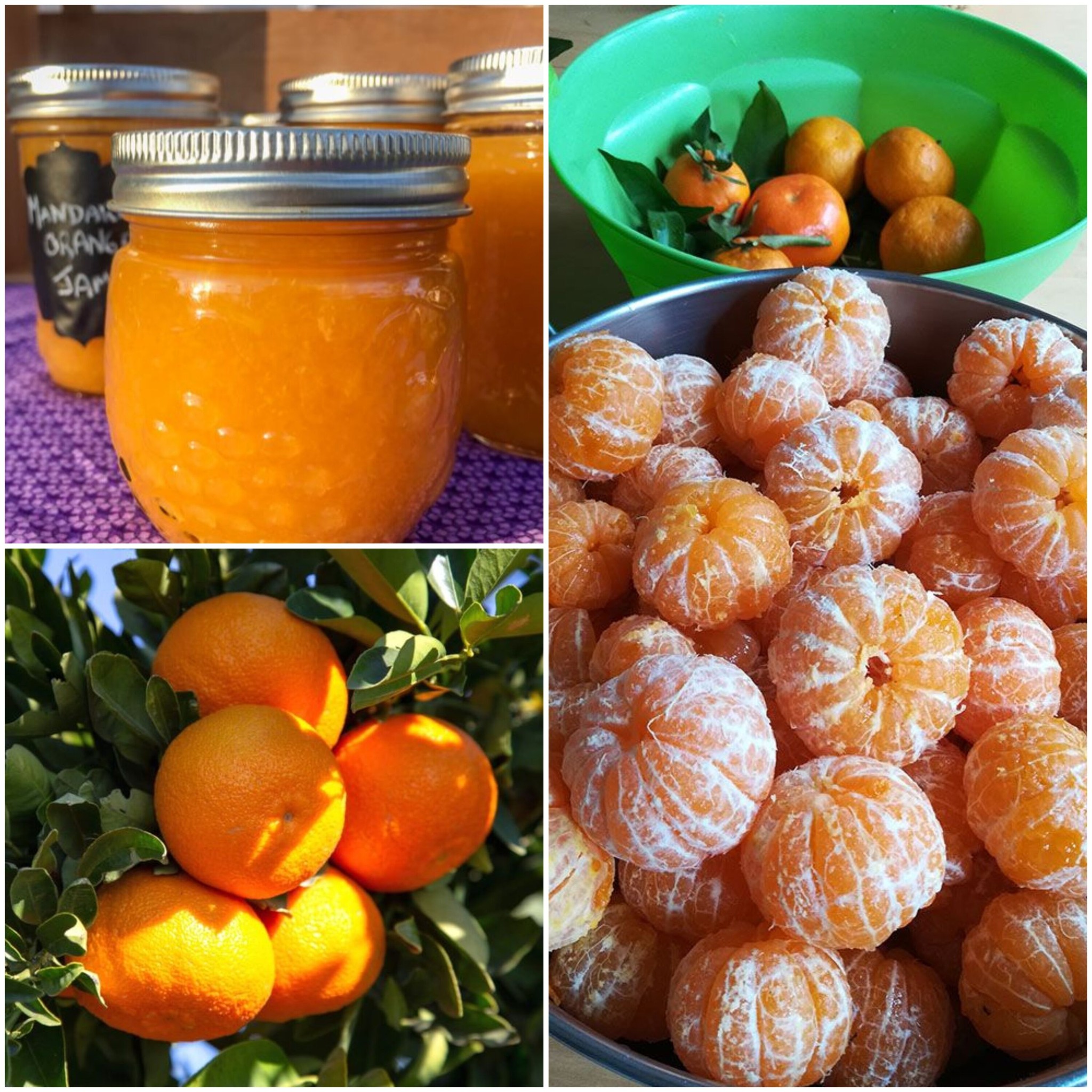 Refresh Your System with Mandarins 1