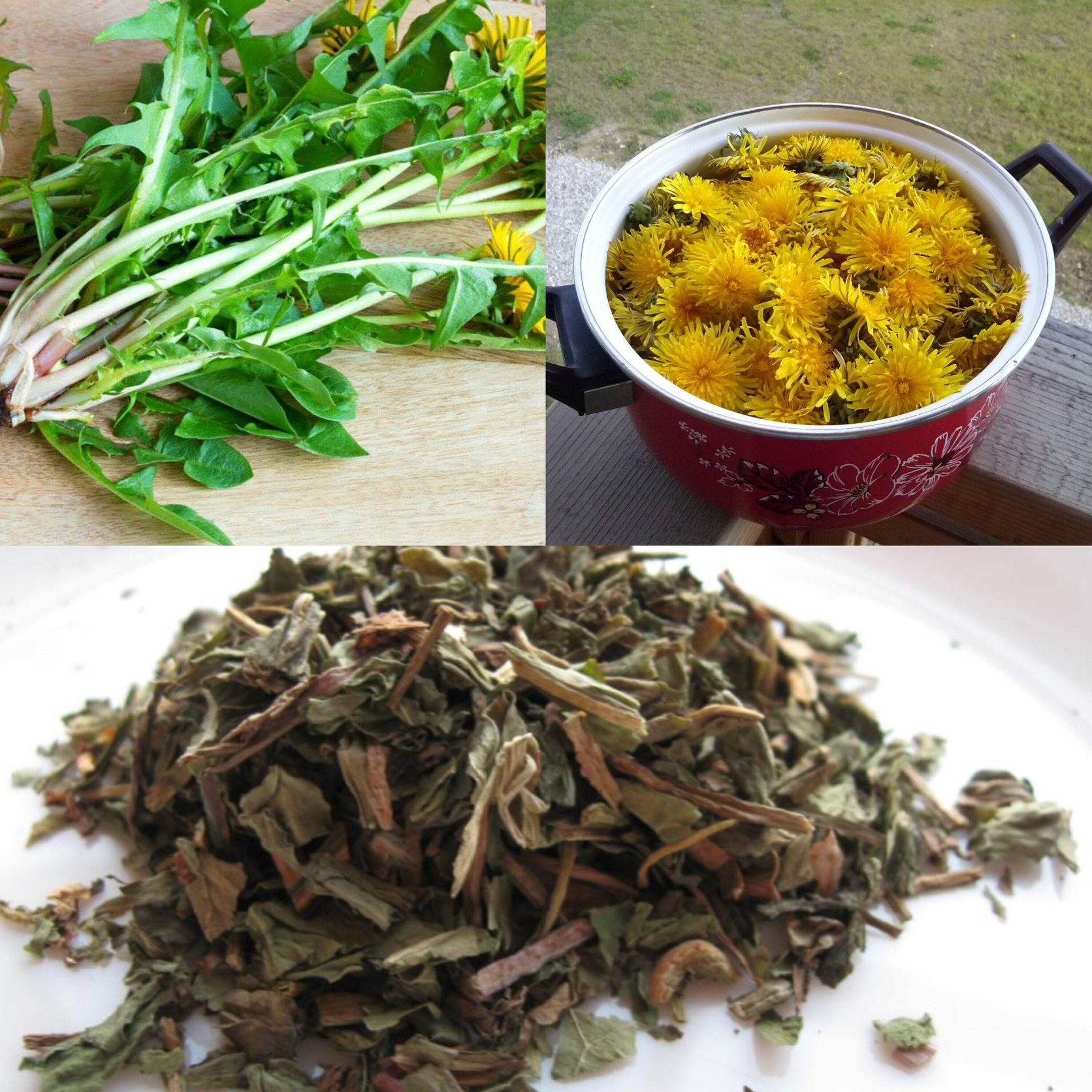 Healing Tea to Reduce Creatinine 1