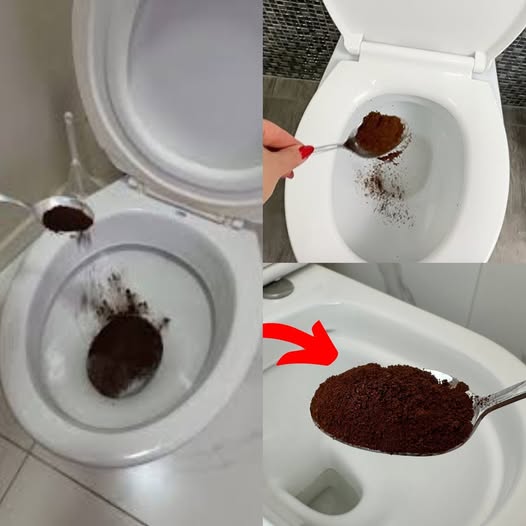 Coffee In Toilet And Permanently Forgot Your Issues 1