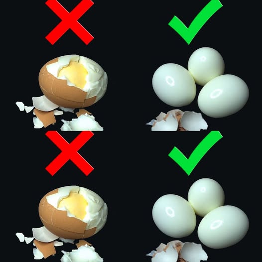The best way to boil eggs