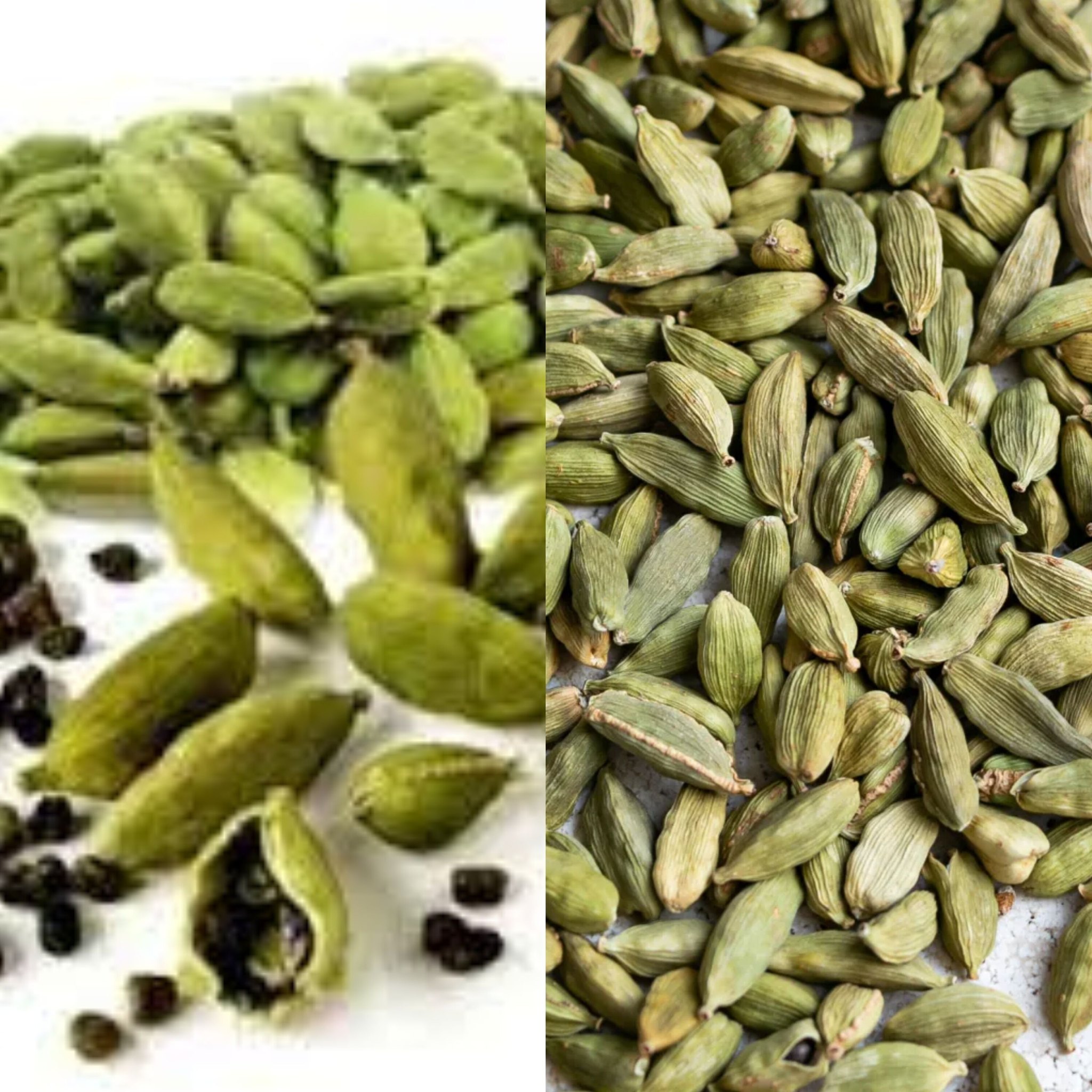 Discover the Health Benefits of Cardamom 1
