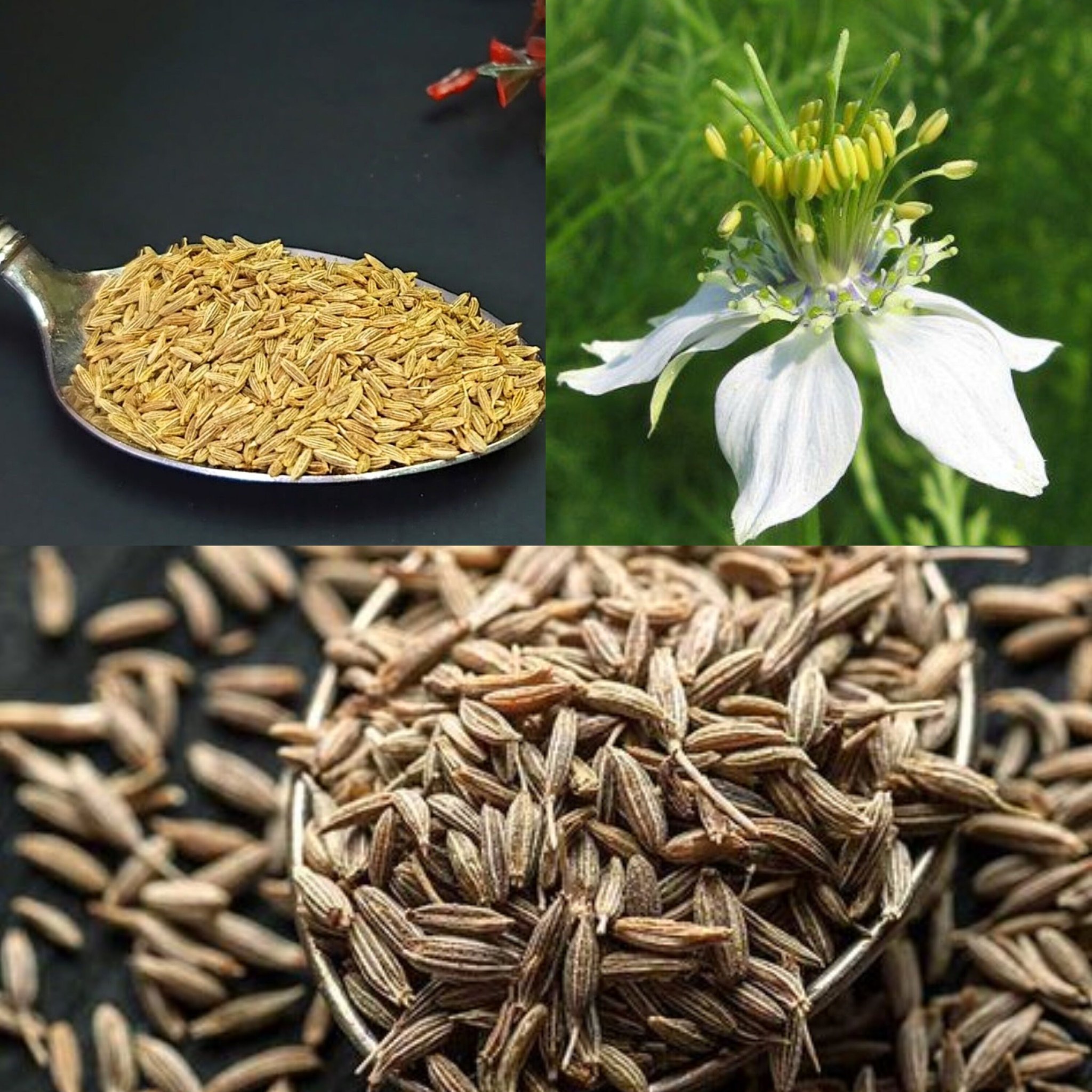 Just One tablespoon of cumin to help you lose weight 1