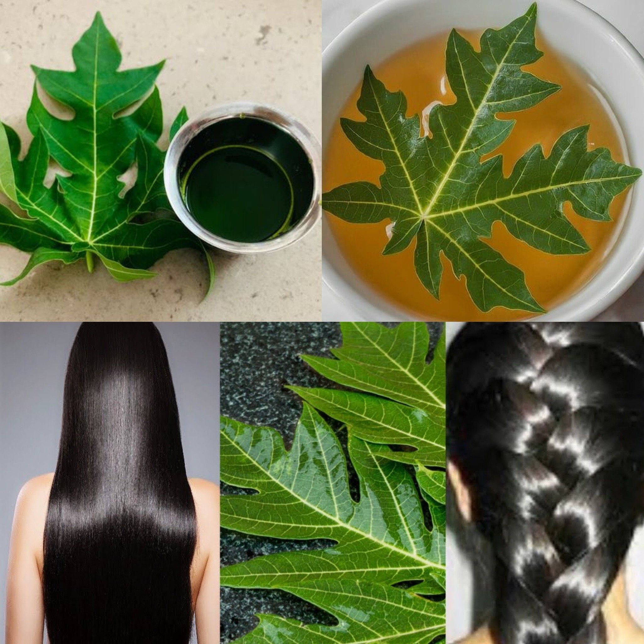 Grow Long Hair with Papaya Leaves Overnight 1