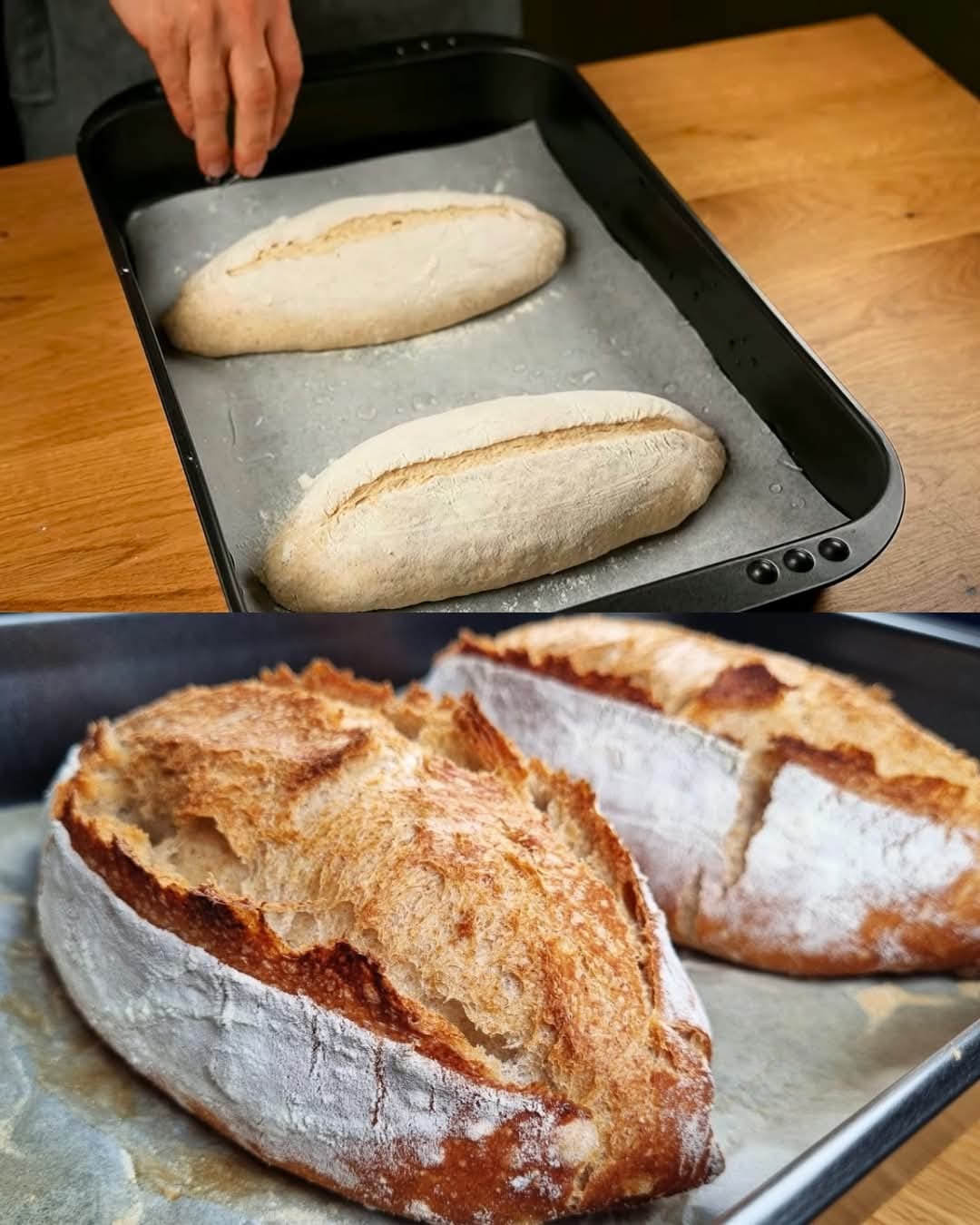 Whole Wheat Bread