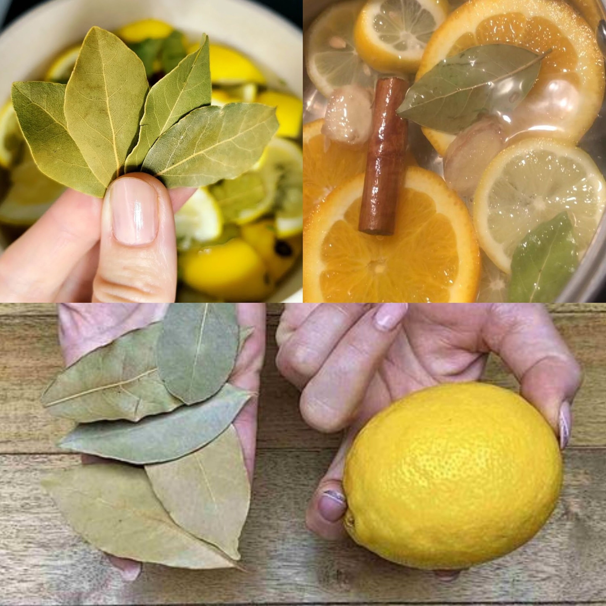 Learn How to Manage Your Weight with the Help of Lemon and Bay Leaves 1