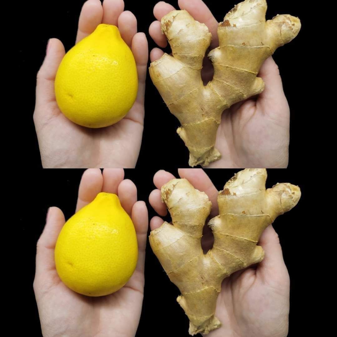 Ginger and Lemon in the Morning: An Easy Drink to Help with Weight Management 1