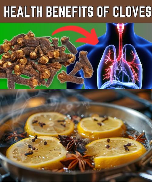 In three days, stop coughing and clear your lungs A Clove-Based Bronchitis 1