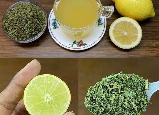 Oregano and Lemon Tea Recipe 1