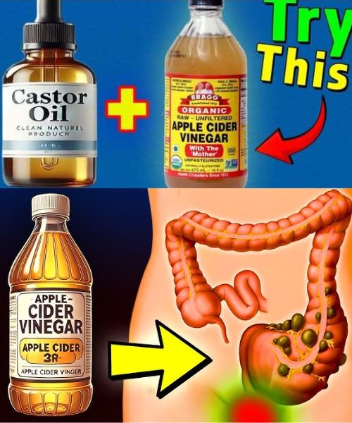 The Incredible Benefits of Mixing Castor Oil with Apple Cider Vinegar 1