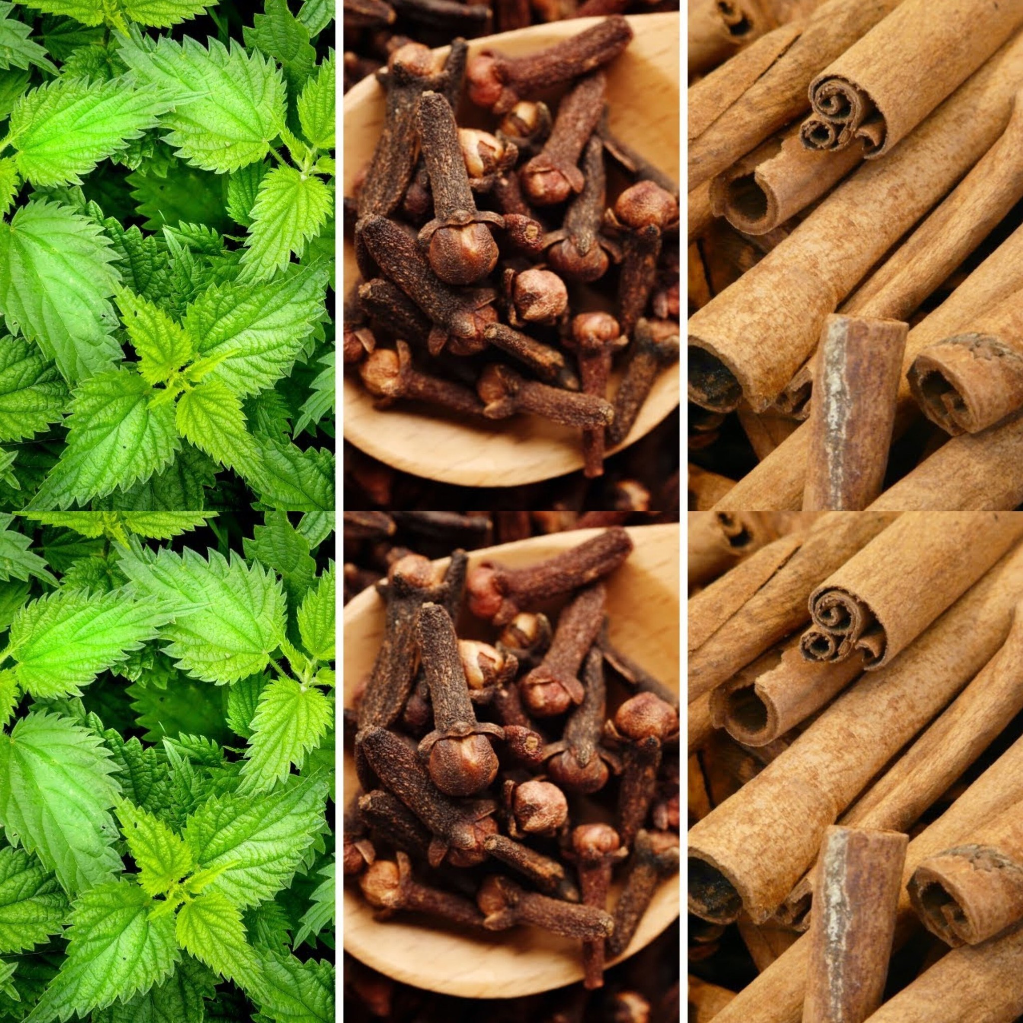 Nettle, Clove & Cinnamon tea 1