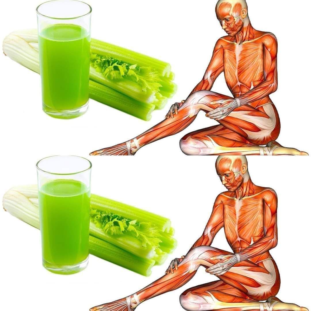 The Effects of Drinking Celery Juice Every Morning 1