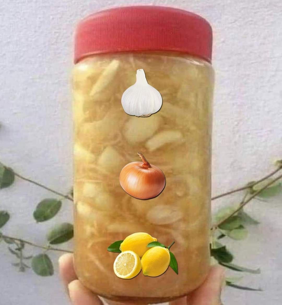 Grated ginger, honey, lemon juice, and garlic Take just one teaspoon daily 1