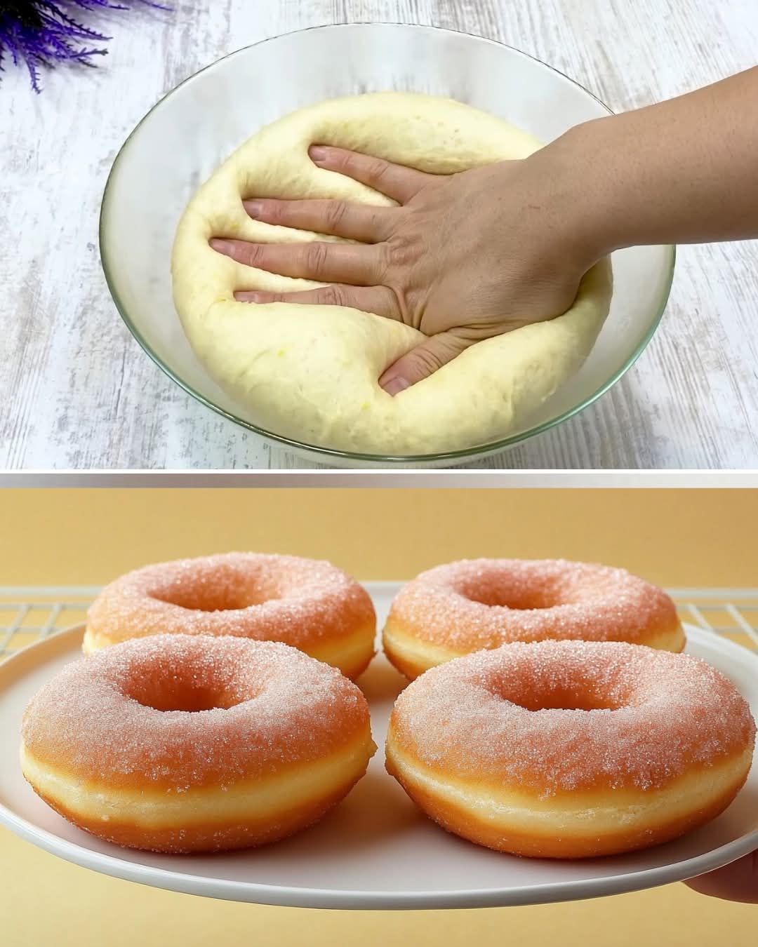 Italian Donuts – The Best Homemade Donuts Recipe 1 Italian Donuts – The Best Homemade Donuts Recipe