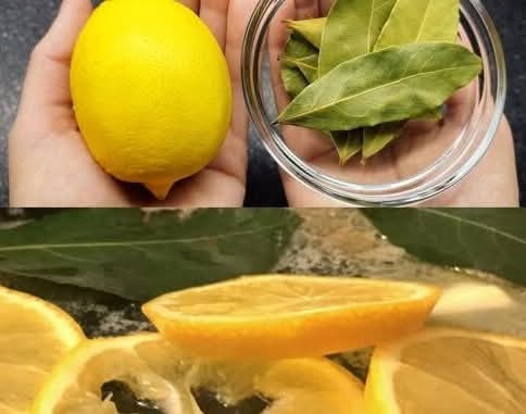 Homemade Cough Syrup Made from Bay Leaf 1