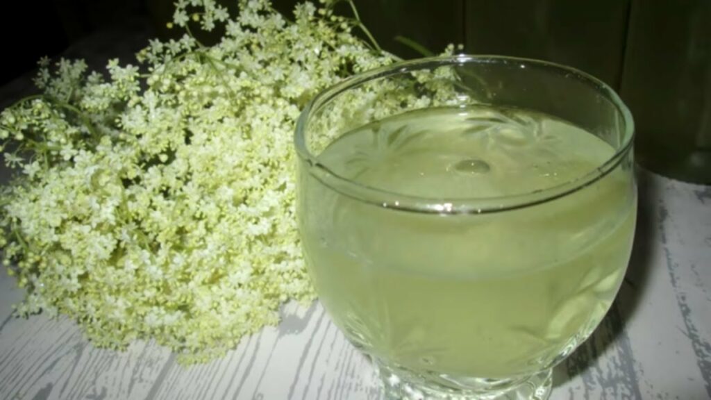 A Classic Recipe Making Elderberry Syrup at Home 1