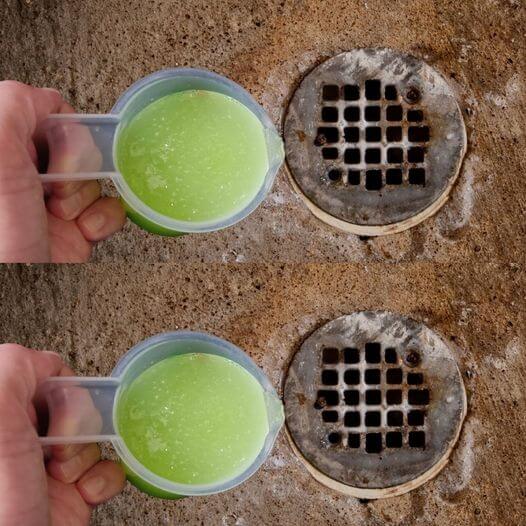 Two Drops For Fresh Smelling Drain Is All You Need to Fix 1