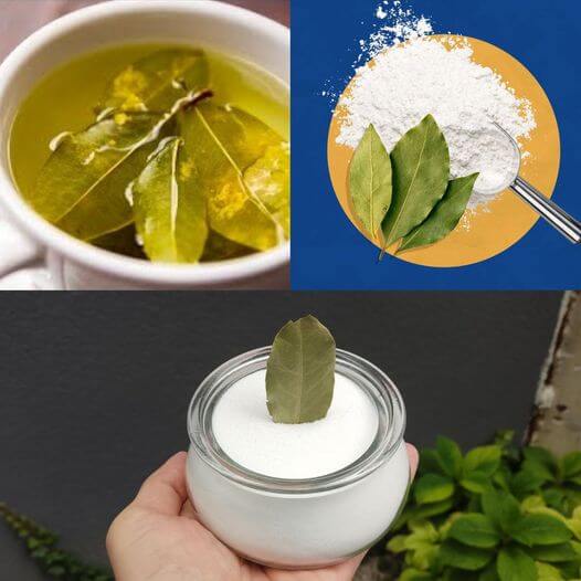 You will be ecstatic dip a laurel into baking soda 1