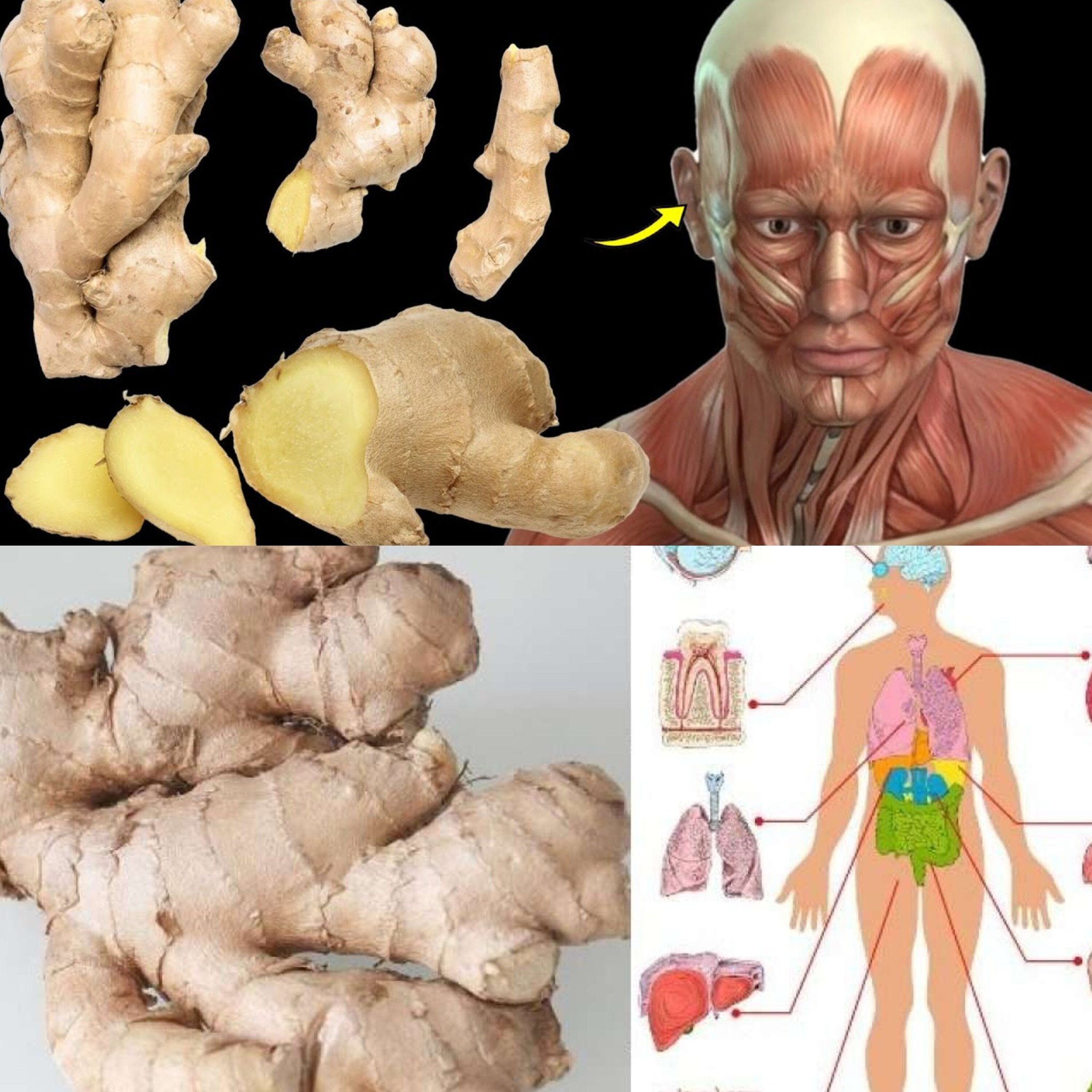 The Effects of Daily Ginger Consumption on Your Body 1