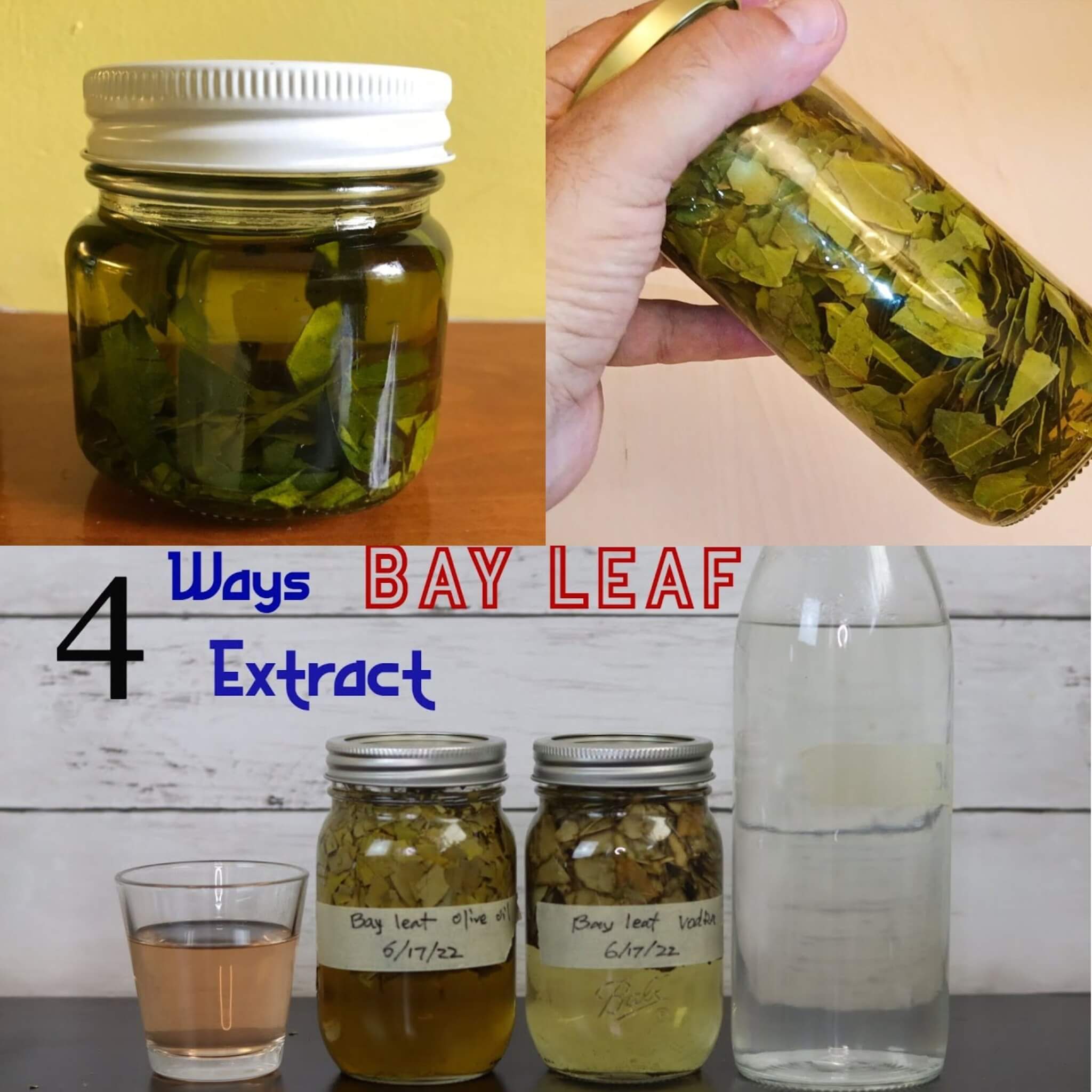 Nature's Solution for Pain-Free Muscles and Healthy Joints 1