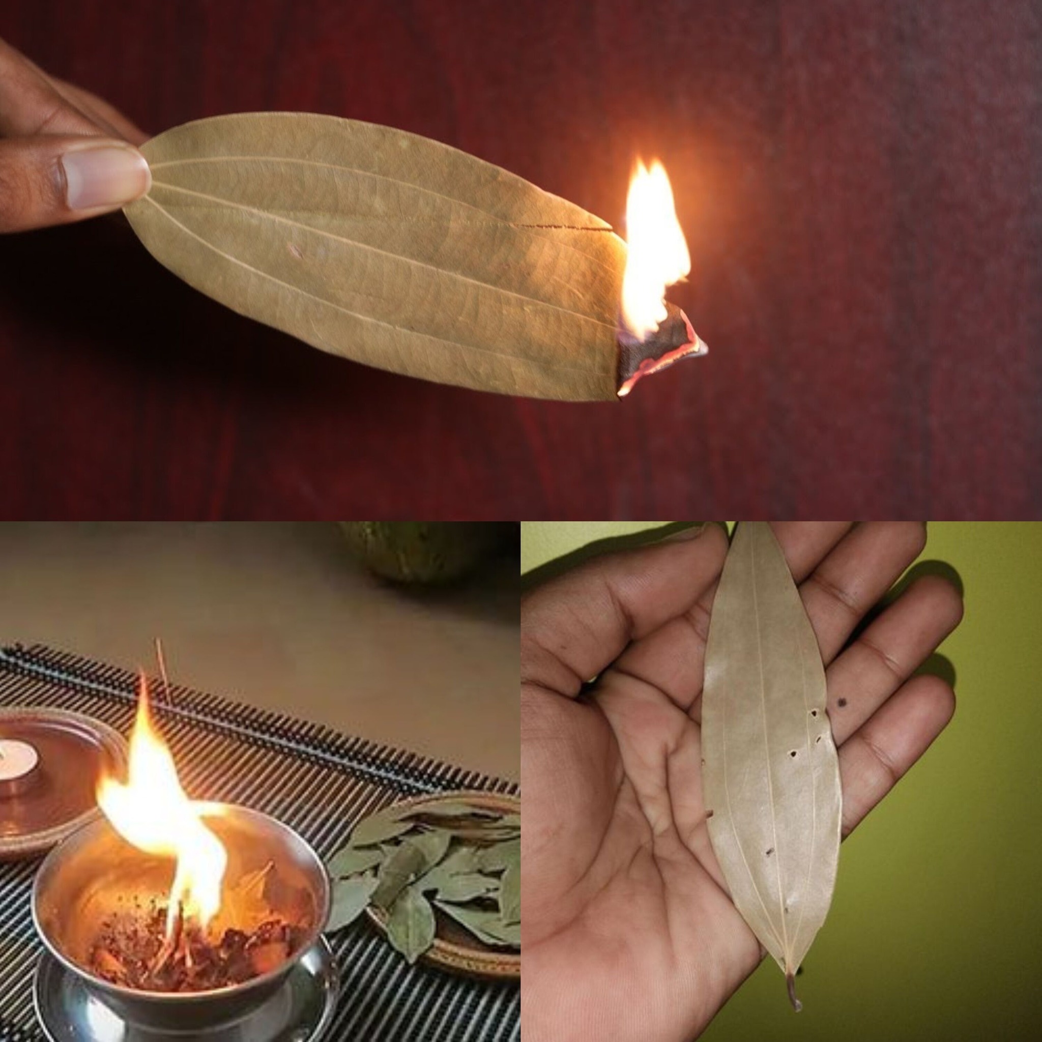 Learn About the Unexpected Advantages of Burning a Bay Leaf in Your Room 1