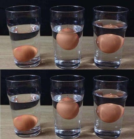 Fresh Eggs or Fowl Play? Your Guide to Checking Egg Freshness 1