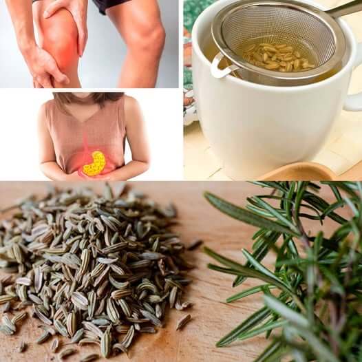 10 Amazing Health Benefits of Rosemary and Fennel Tea 1