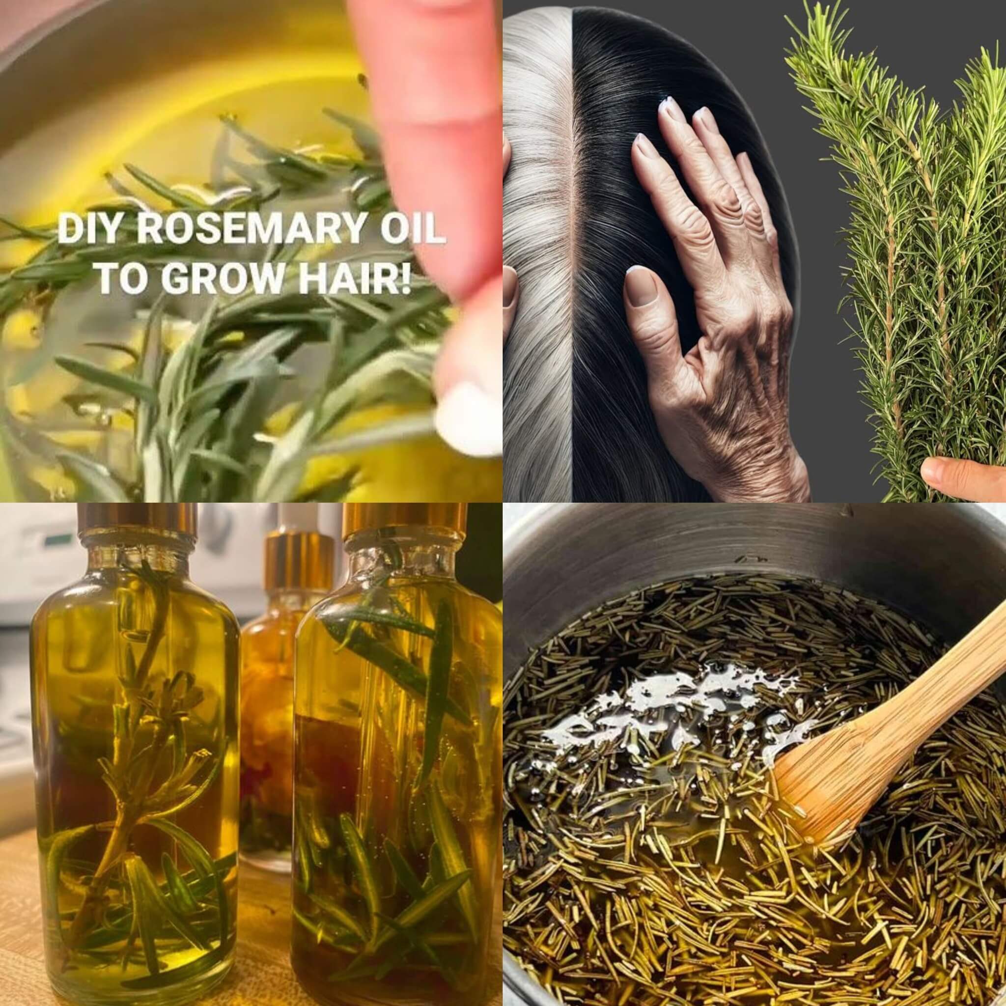 Use Rosemary to Naturally Revitalize Your Hair 1