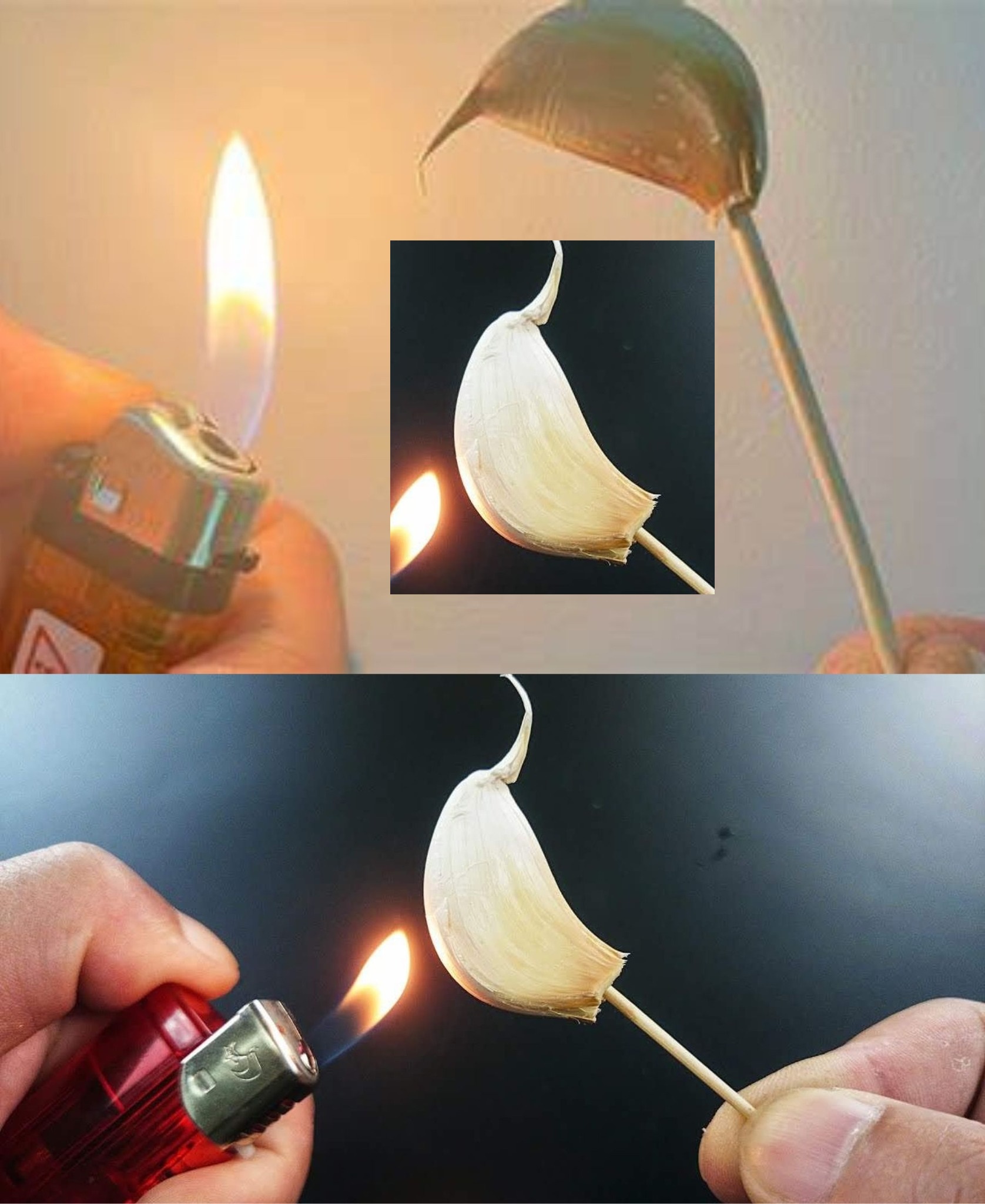 What Takes Place When Garlic Is Burned at Home for 15 Minutes 1