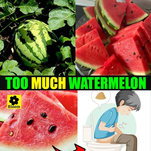 What Happens When You Eat Too Much Watermelon 1