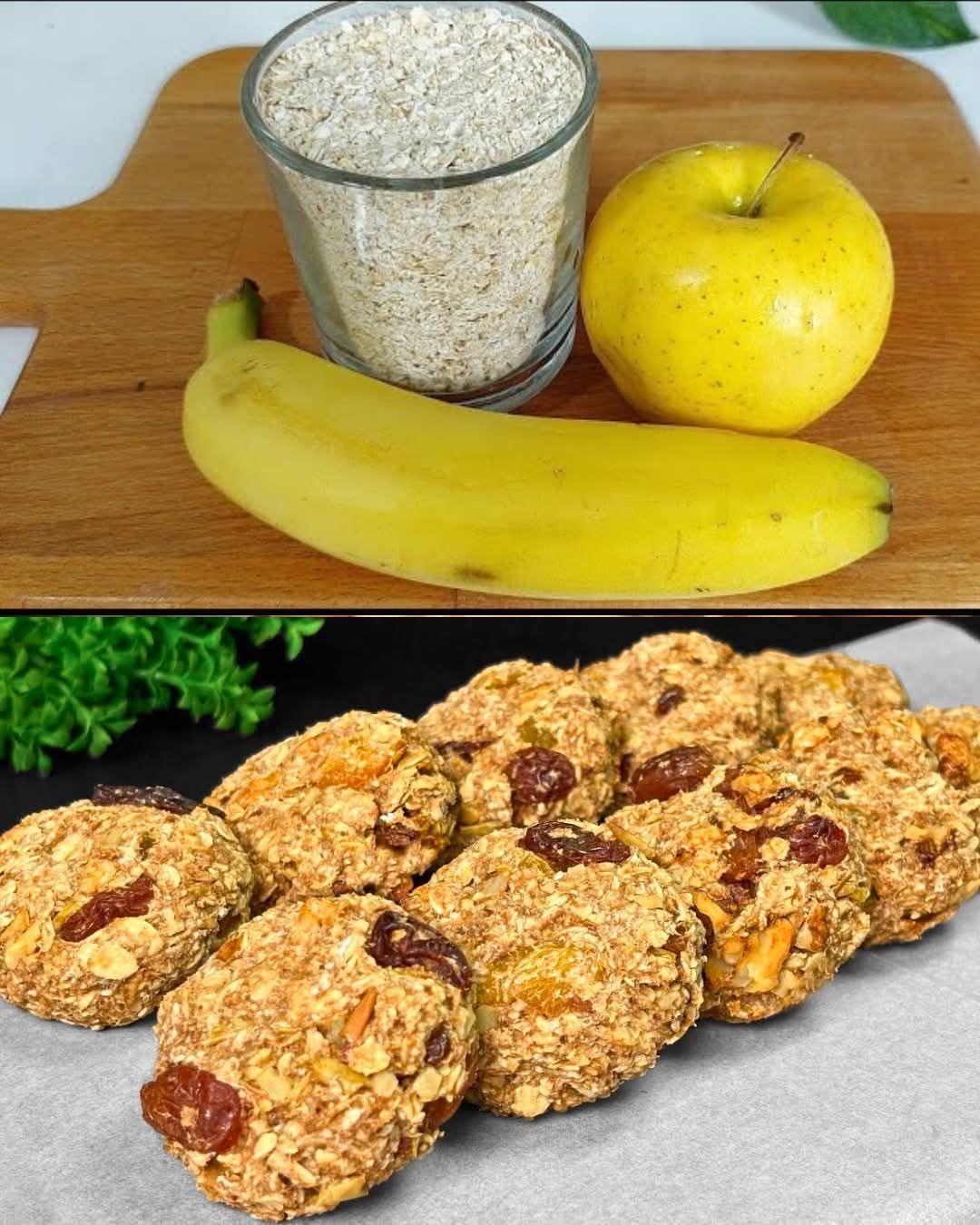 Baked Oatmeal Bars with Fruits and Nut 1 Baked Oatmeal Bars with Fruits and Nut