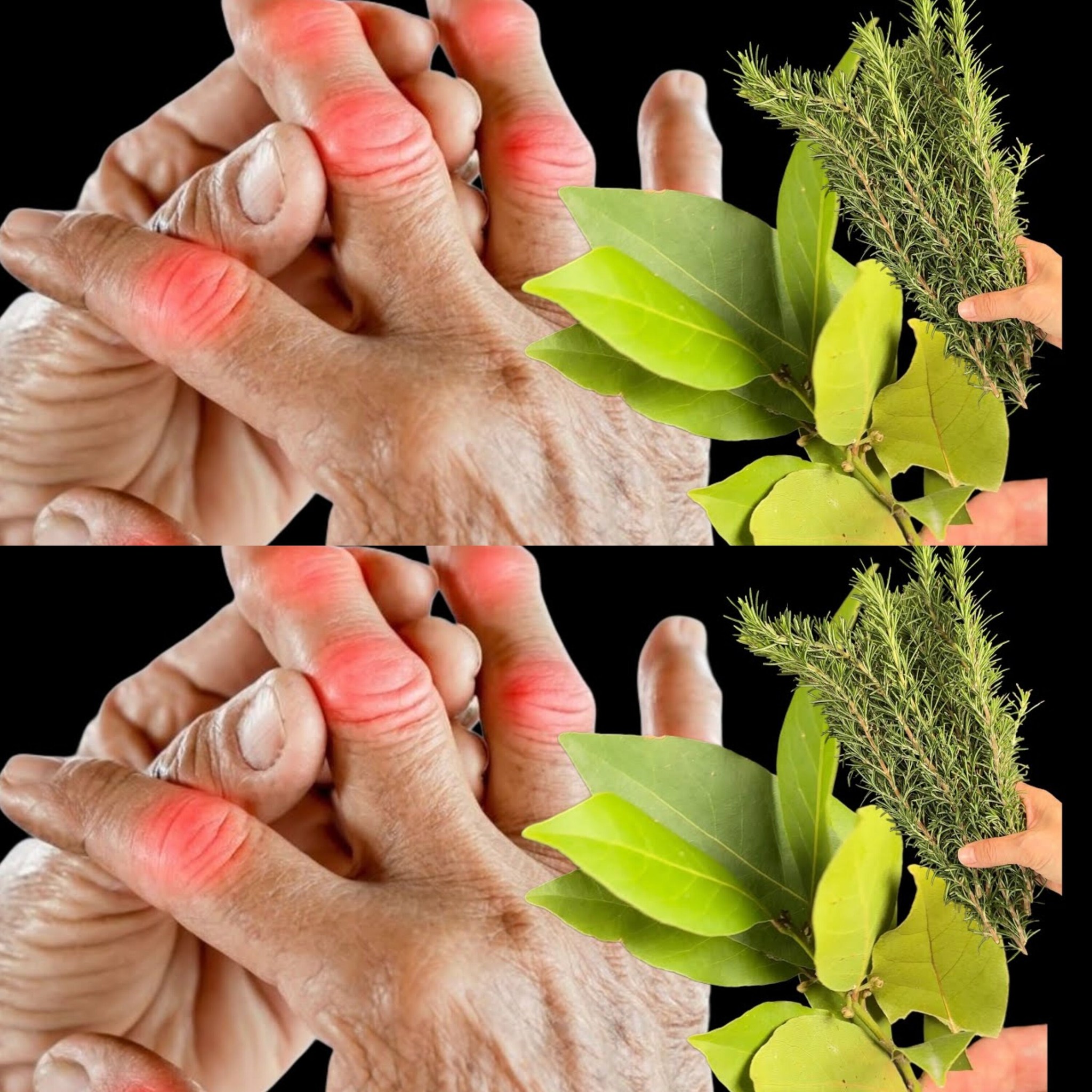 Bay Leaf More Potent Than Any Ointment by a Million Time 1