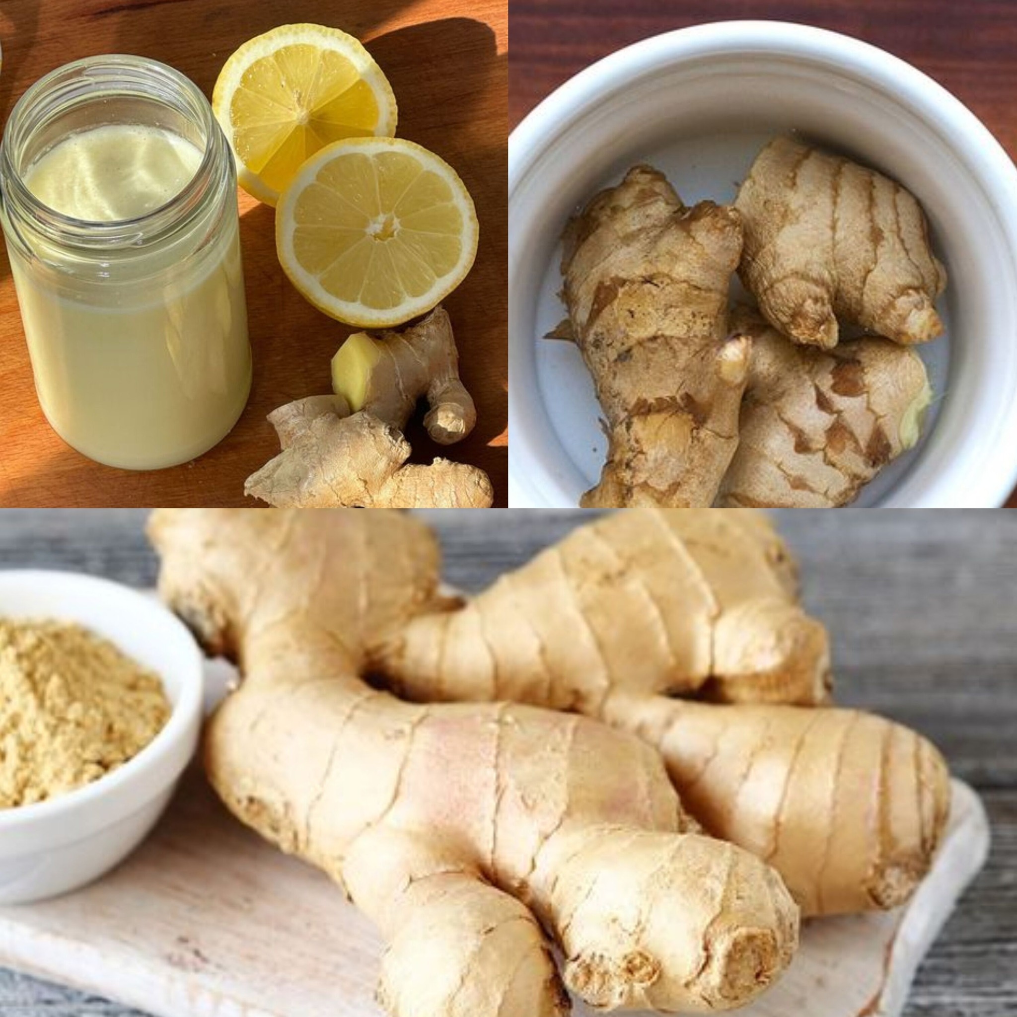 The Real Story of Ginger 1