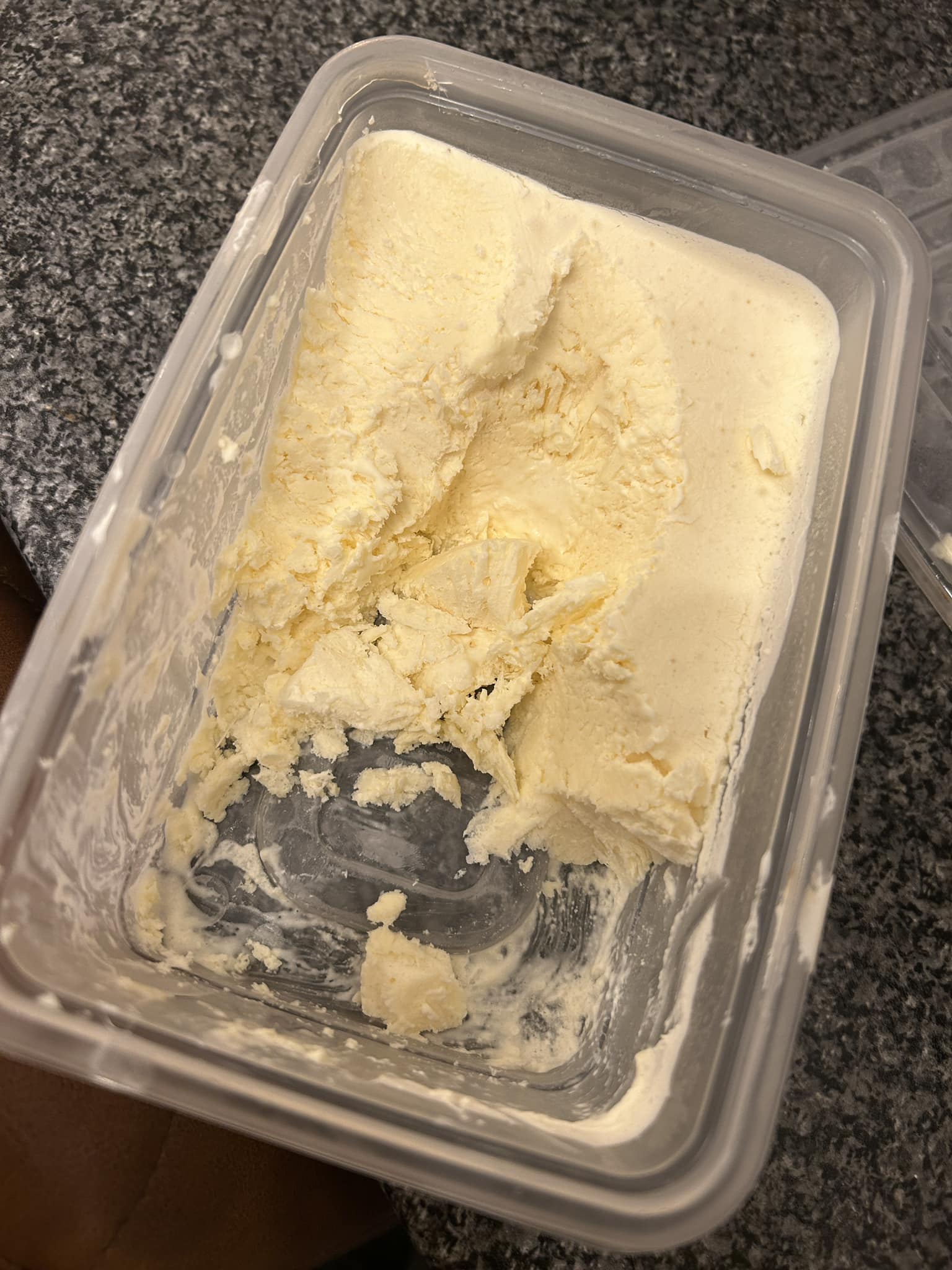 Carnivore Ice Cream Recipe 1
