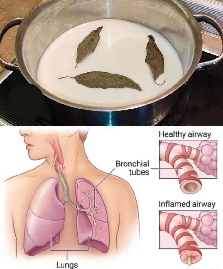 You Must Remember for a Cough and Congestion Remedy Using Bay Leaf, Milk, and Honey 1
