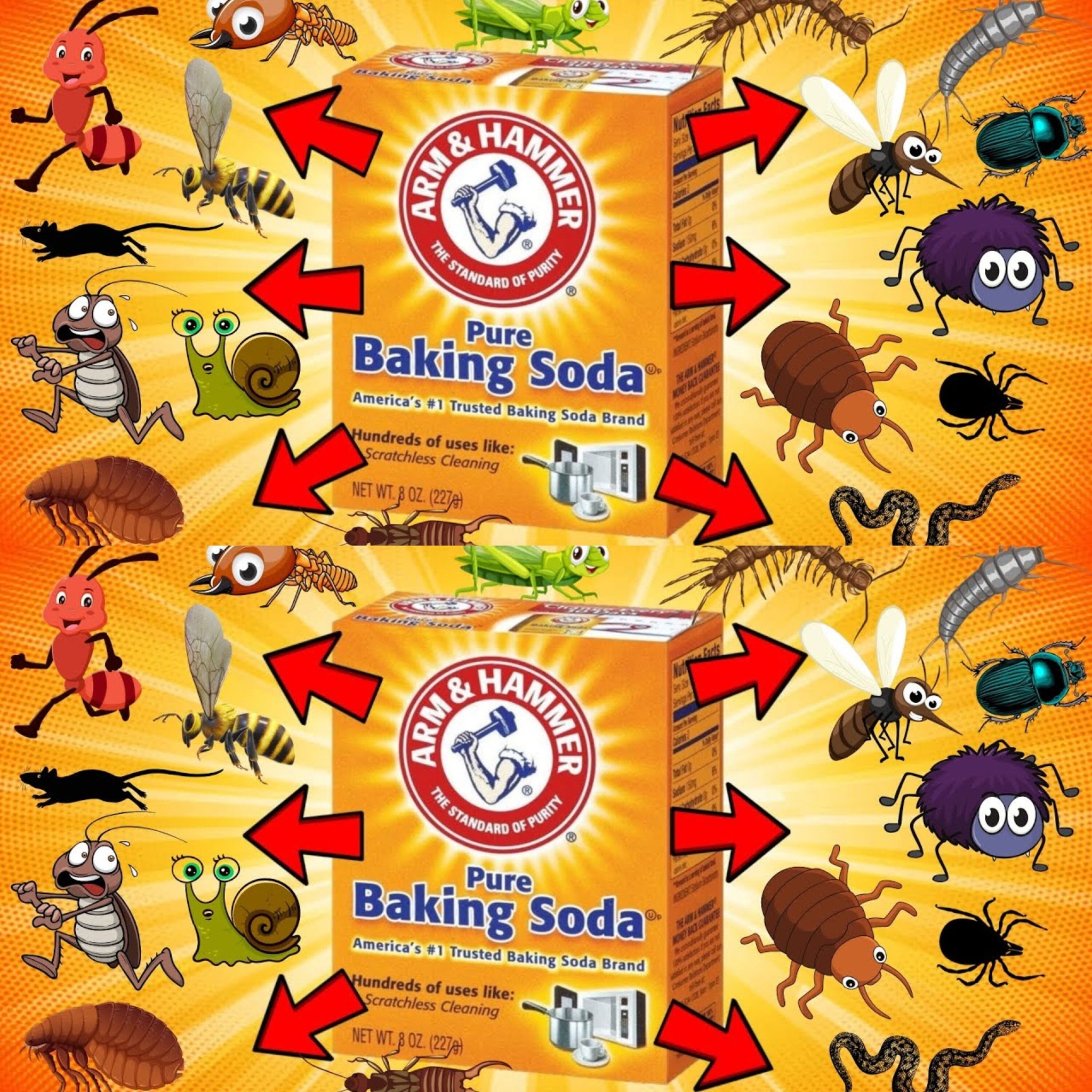 Baking soda has the ability to repel 20 unexpected pests. 1