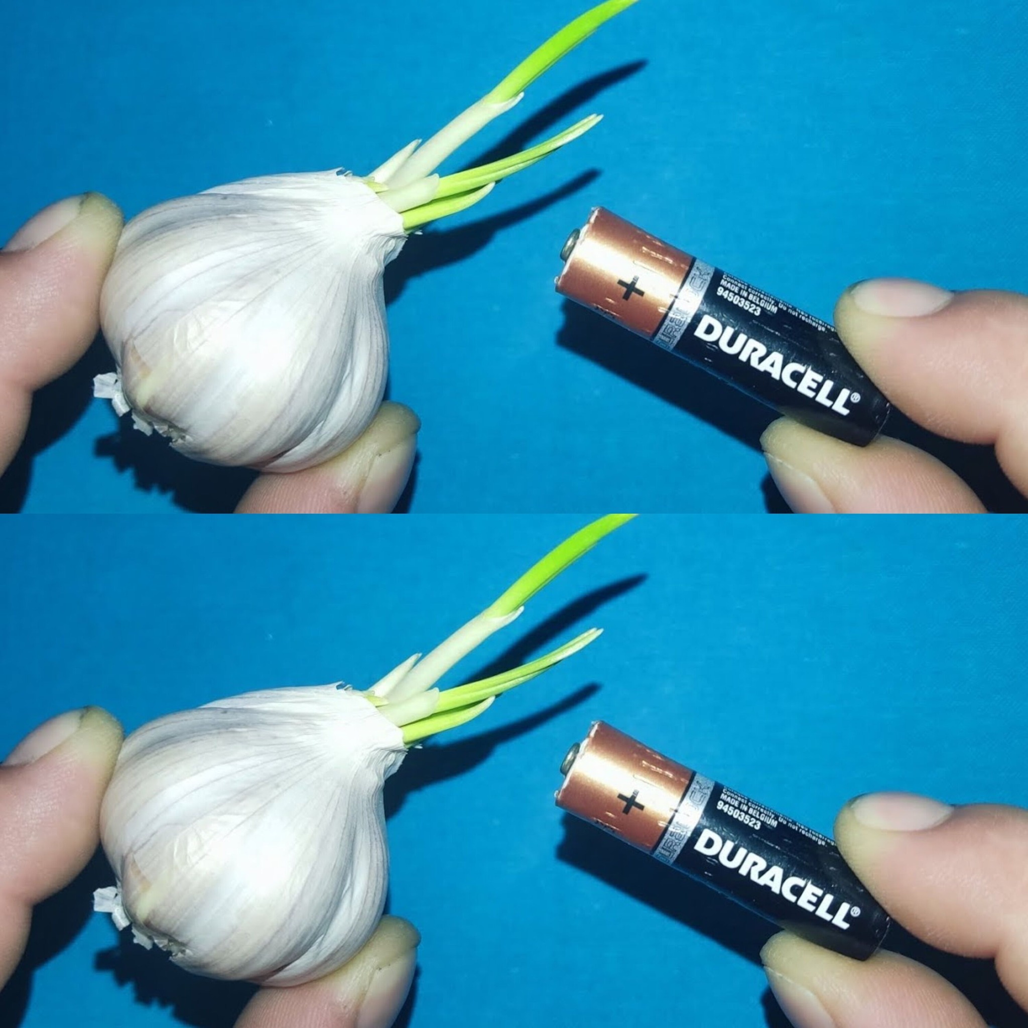 You can reuse your old batteries by simply using garlic 1