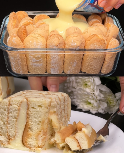 No-Bake Savoiardi Cookie Delight 1 No-Bake Savoiardi Cookie Delight